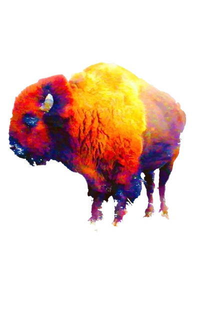 A vibrant, colorful illustration of a bison with abstract hues.